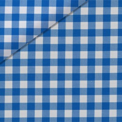 White Blue Medium Check