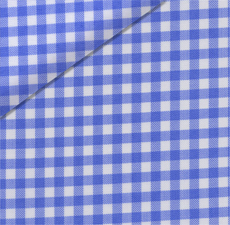 blue royal oxford check