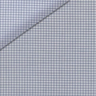 Light Blue and Gresh Gingham