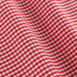 Gingham dress shirt