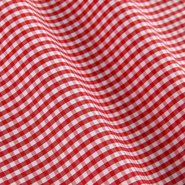 Gingham dress shirt