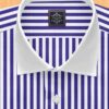 Blue striped shirt with white collar