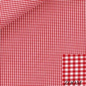 Red Gingham shirt