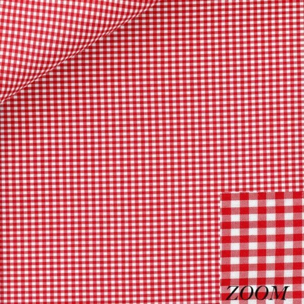 Red Gingham shirt