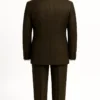 Men Brown Suit