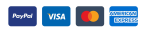 payment icon
